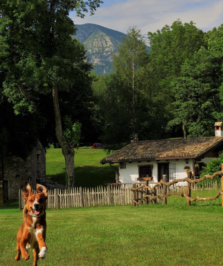 Baita Tana Da L'Ors Forgaria nel Friuli Екстер'єр фото