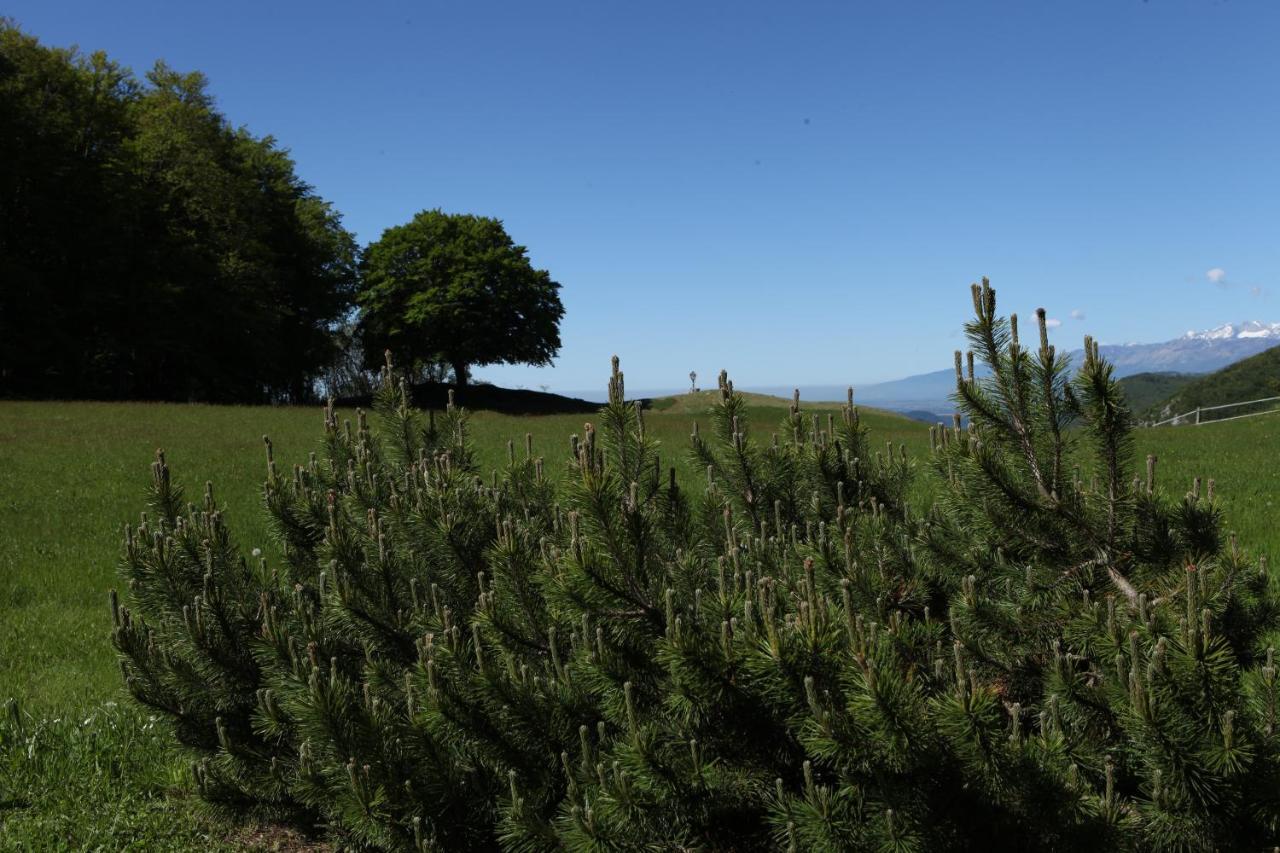 Baita Tana Da L'Ors Forgaria nel Friuli Екстер'єр фото