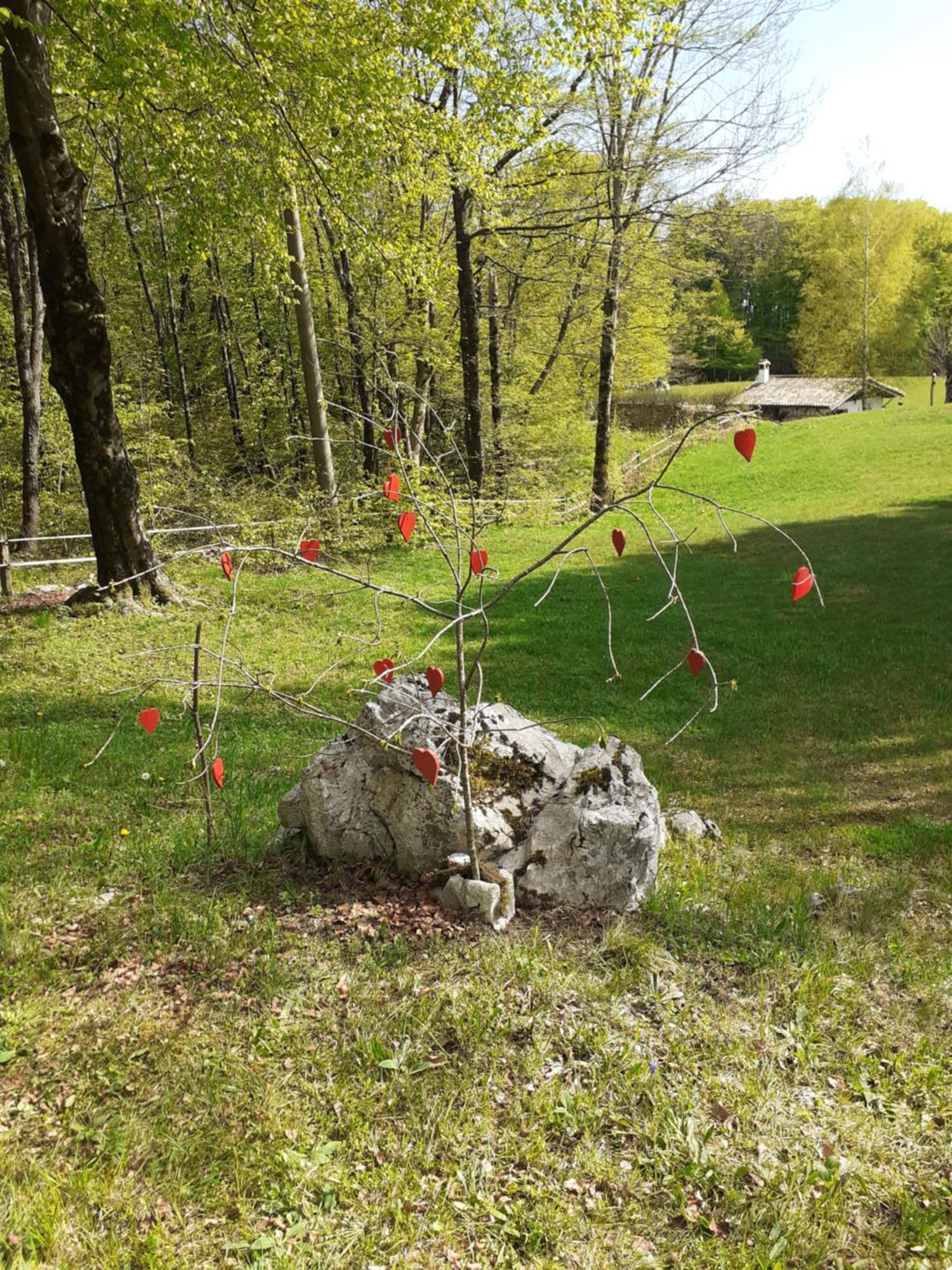 Baita Tana Da L'Ors Forgaria nel Friuli Номер фото